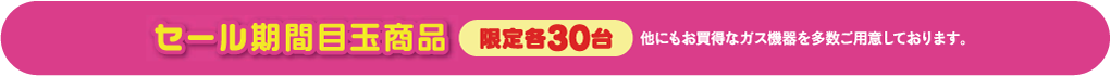 セール期間目玉商品 限定各30台