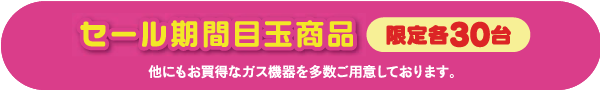 セール期間目玉商品 限定各30台